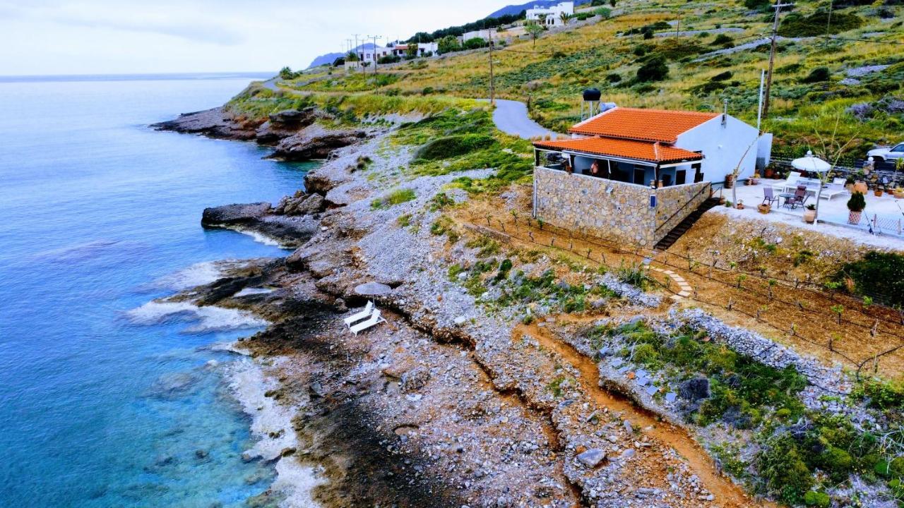 Tholos Alexandra'S Beachfront House Kavoúsion エクステリア 写真