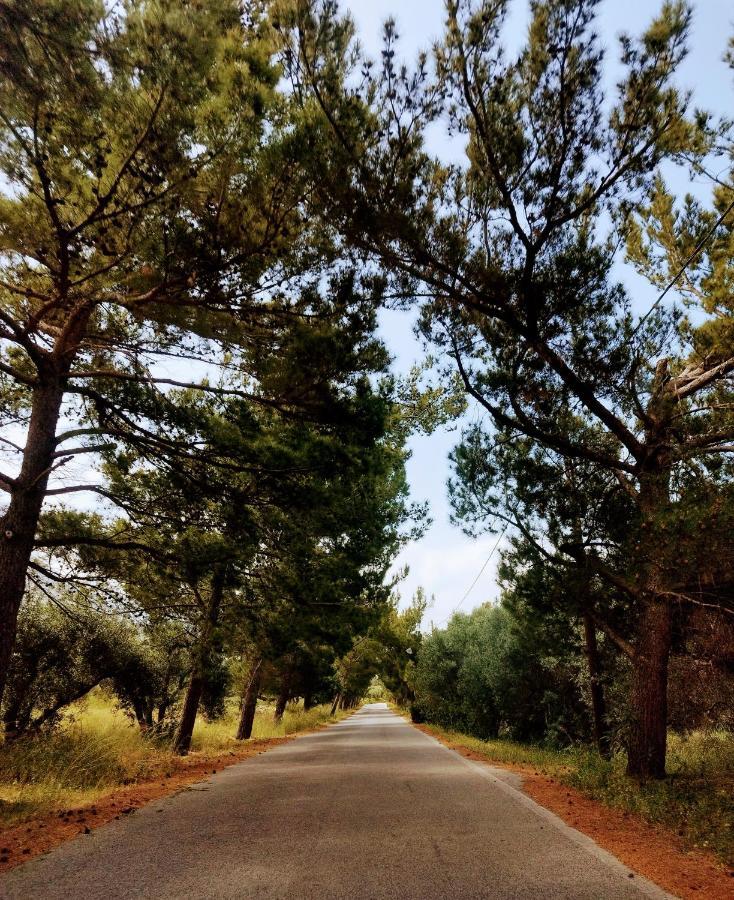 Tholos Alexandra'S Beachfront House Kavoúsion エクステリア 写真