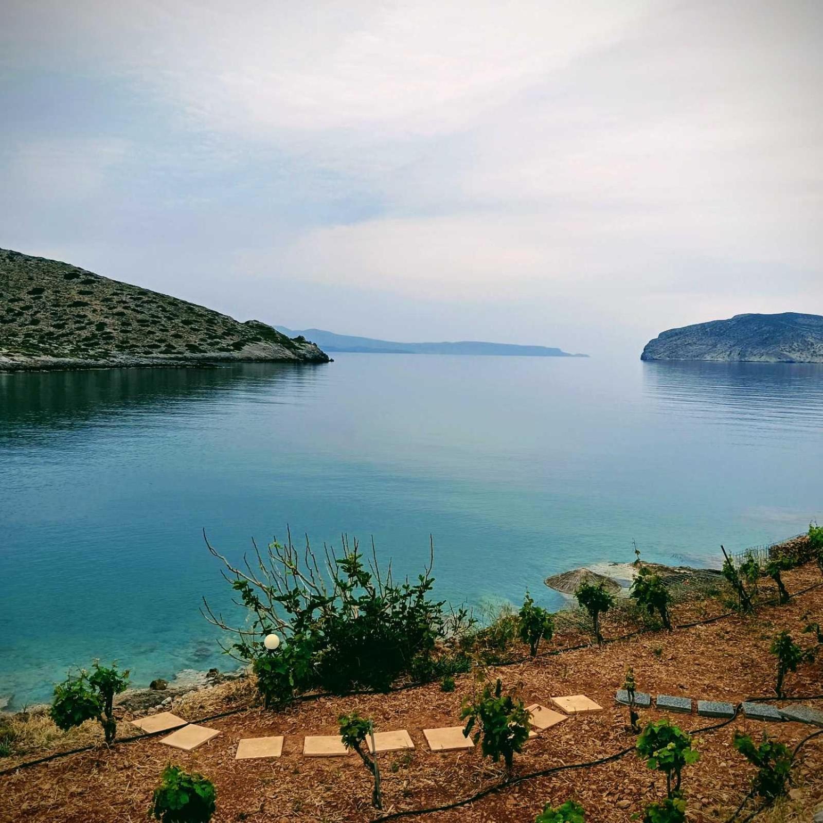 Tholos Alexandra'S Beachfront House Kavoúsion エクステリア 写真